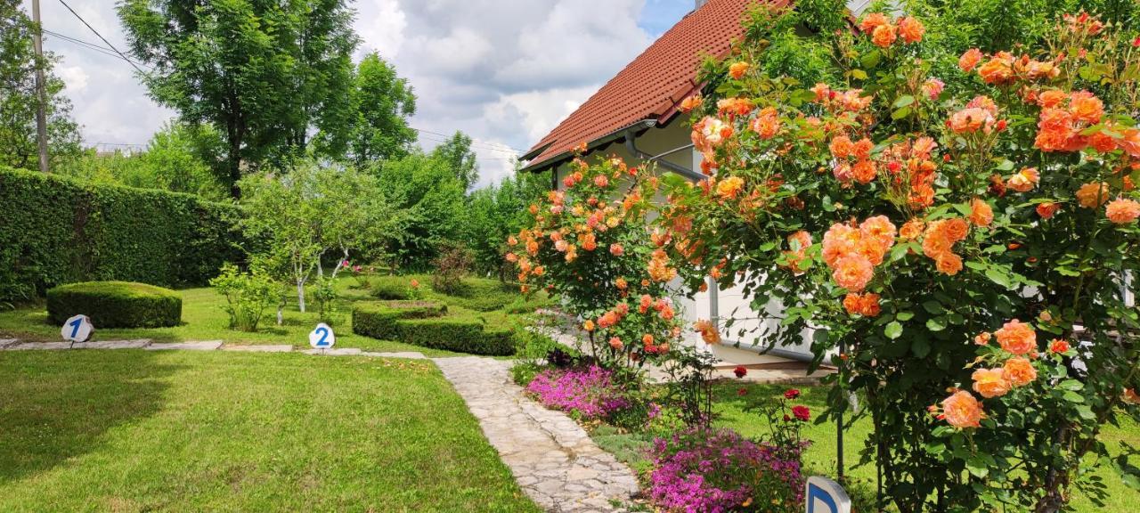 Guest House Kolic Drežnik Grad Exterior foto