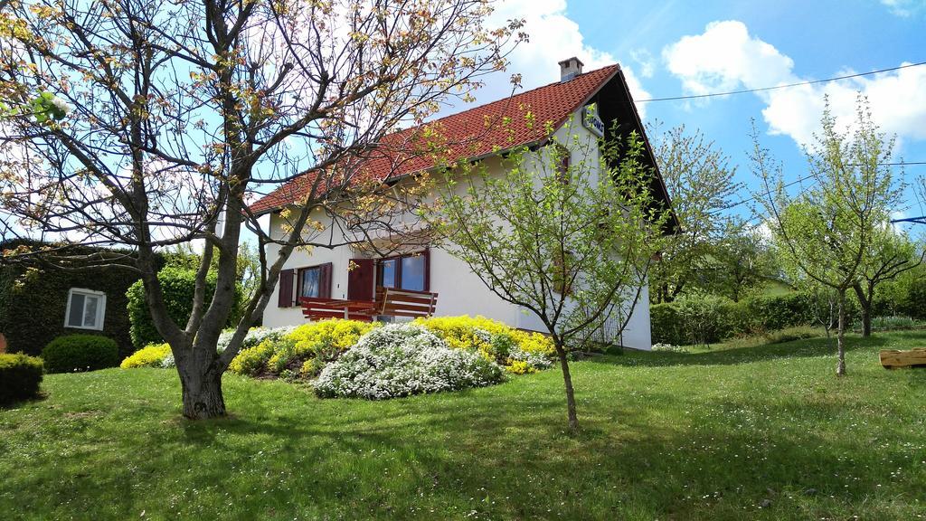 Guest House Kolic Drežnik Grad Exterior foto